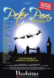 Peter Pan le spectacle musical Bobino Affiche