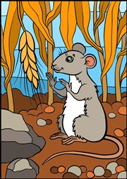 Les aventures du rat Patatra Comdie de Grenoble Affiche