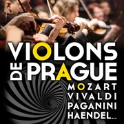 Violons de Prague | Montpellier Cathdrale Saint-Pierre Affiche
