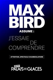Max Bird dans J'essaie de comprendre Petit Palais des Glaces Affiche