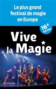 Festival international Vive la Magie | Vannes Palais des Arts et des congrs, salle Lesage Affiche